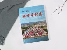 北甘子村志