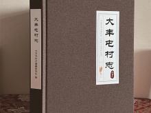 大丰屯村志